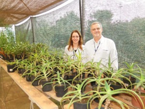 Professora Andréa de Andrade Ruggiero e Dr. José Armando Jr.