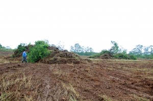 Fiscais da Prefeitura de São Bernardo interrompem crime ambiental no Pq. Los Angeles