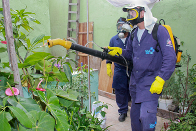 Moradores precisam colaborar nas ações de combate à dengue