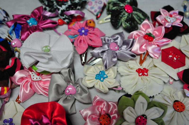 Escola Aberta 2013 (Foto: Mauro Pedroso)