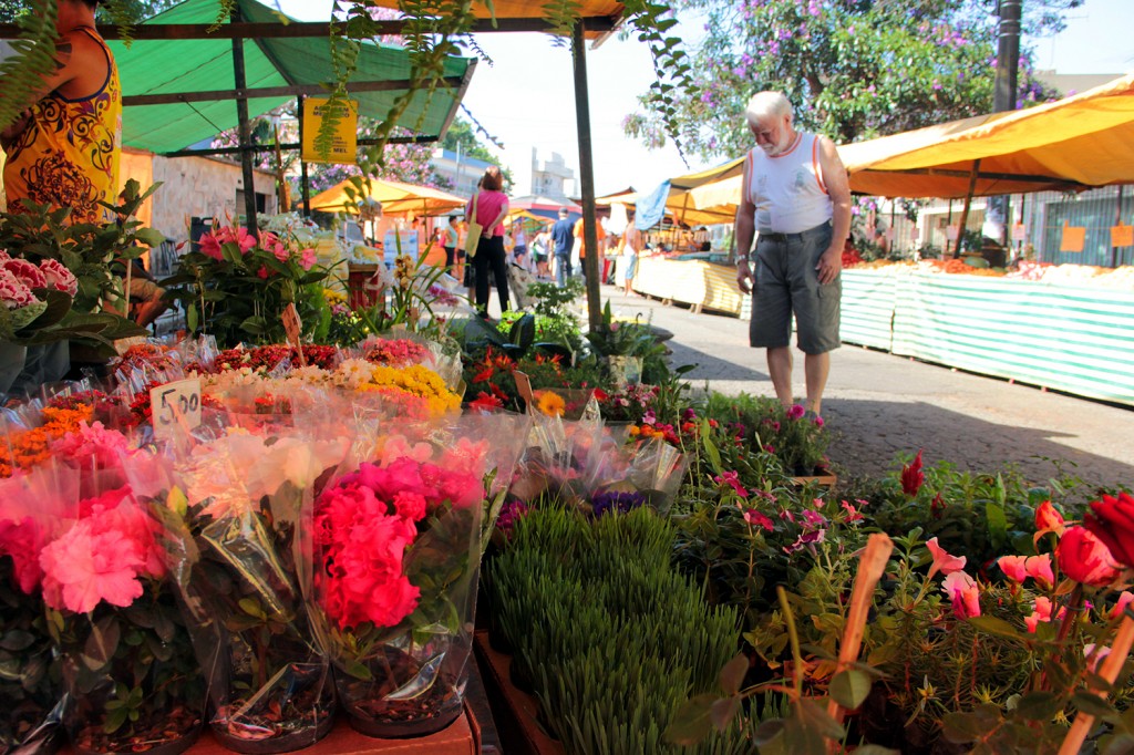 Mercado de Flores prevê aumento nas vendas para ‘Dias das Mães’ Mercado de Flores prevê aumento nas vendas para ‘Dias das Mães’