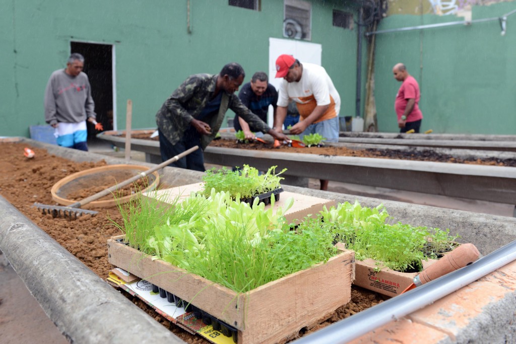 Prefeitura de São Bernardo oferece oficina de horta urbana a moradores de rua