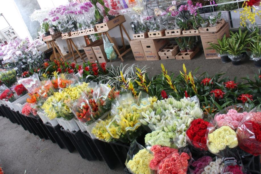 Mercado de Flores deve aumentar vendas com a chegada da primavera