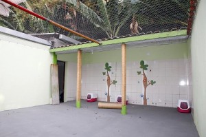 Irrelevante, tem coisas mais importantes a serem feitas