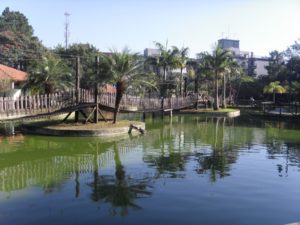 Outrora, cartão postal de administrações passadas, hoje, o Pq. Chico Mendes, está entregue às moscas, principalmente na área em que as crianças deveriam ter seu lazer garantido. Fica a dica, quem sabe volta a ser o que era.