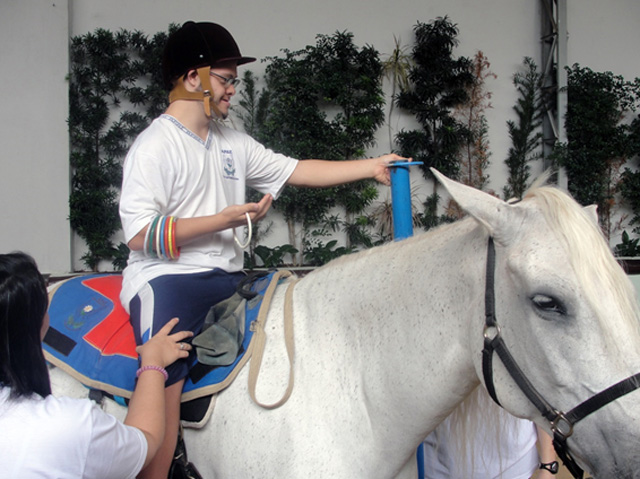APAE de São Caetano disponibiliza Centro de Equoterapia com localização privilegiada