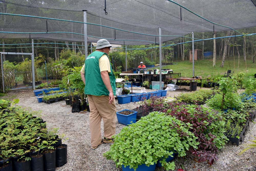 Circuito Verde especial no Estoril celebra o mês das crianças