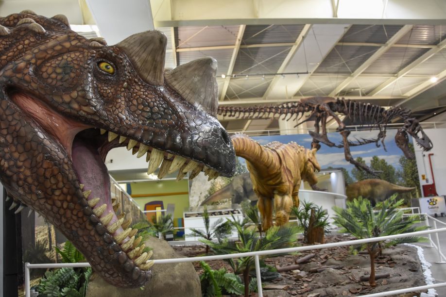 Réplicas de dinossauros em tamanho natural despertam a atenção da garotada Réplicas de dinossauros em tamanho natural despertam a atenção da garotada